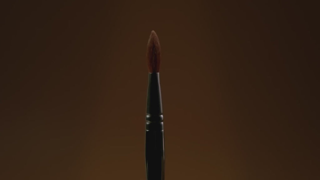 SQ01- Precision Powder Brush