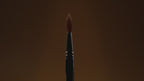 SQ01- Precision Powder Brush