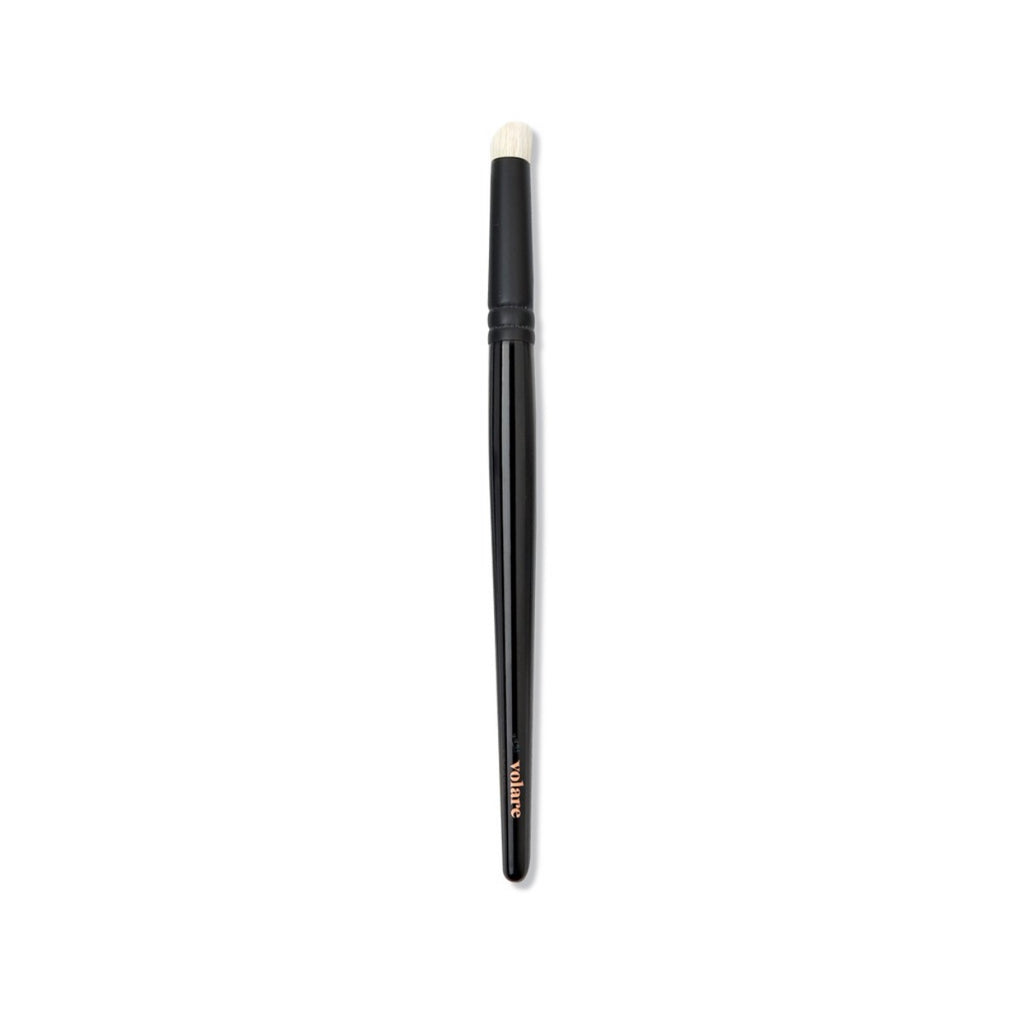 C02 Spot Concealing Brush